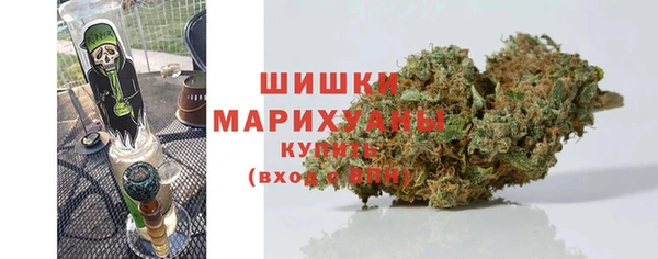 спайс Вяземский